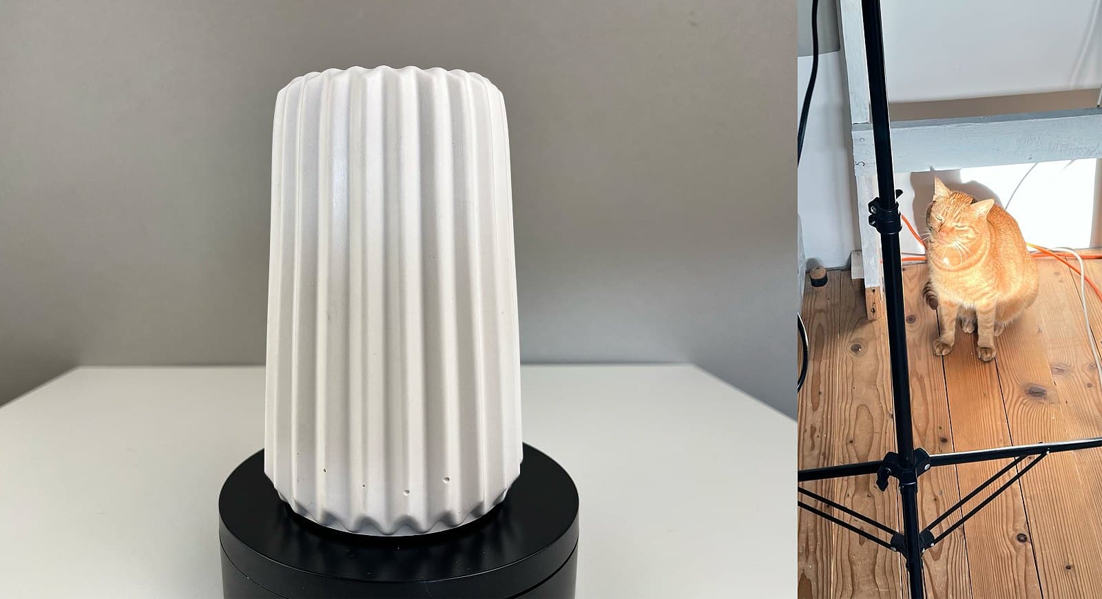 Студійне фото гіпсової вази та рудого кота біля неї.